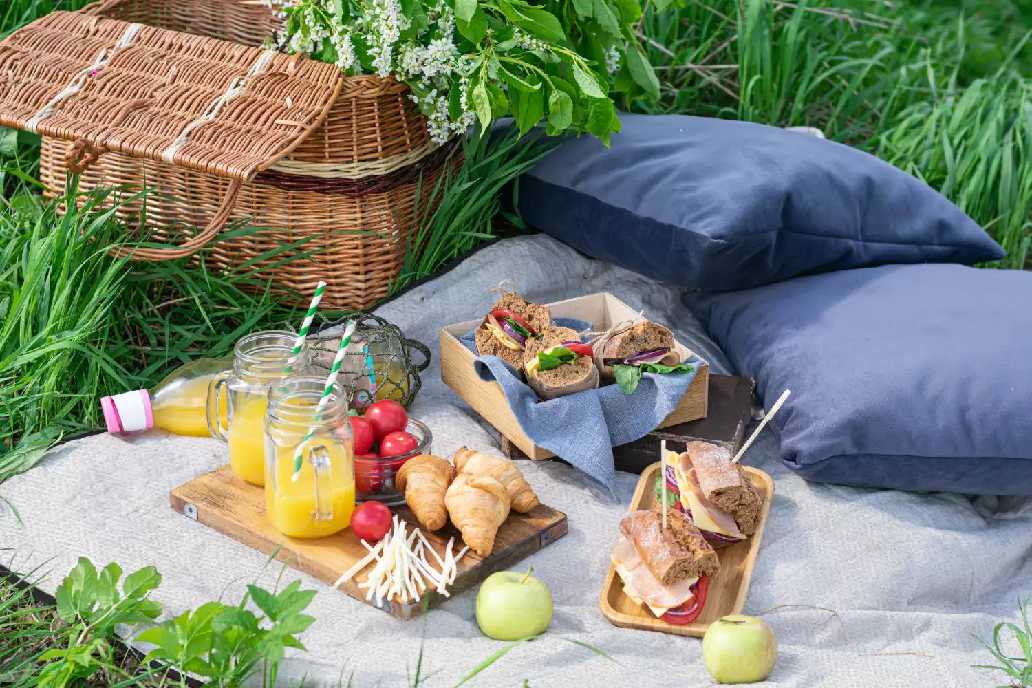 cool picnic blankets